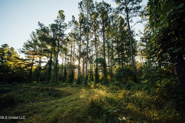 $5,841,640 | 4 Ms Holly Springs, Holly Springs, MS 38635