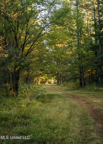 $5,841,640 | 4 Ms Holly Springs, Holly Springs, MS 38635