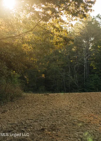 $5,841,640 | 4 Ms Holly Springs, Holly Springs, MS 38635