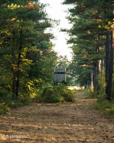 $5,841,640 | 4 Ms Holly Springs, Holly Springs, MS 38635