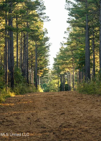 $5,841,640 | 4 Ms Holly Springs, Holly Springs, MS 38635