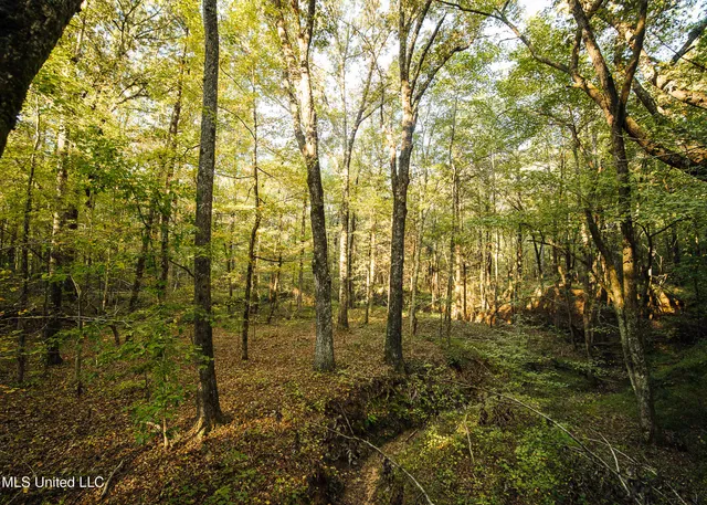 $5,841,640 | 4 Ms Holly Springs, Holly Springs, MS 38635