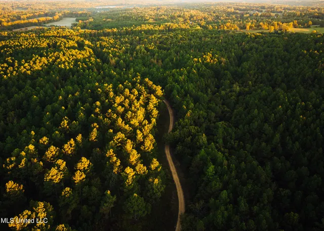 $5,841,640 | 4 Ms Holly Springs, Holly Springs, MS 38635