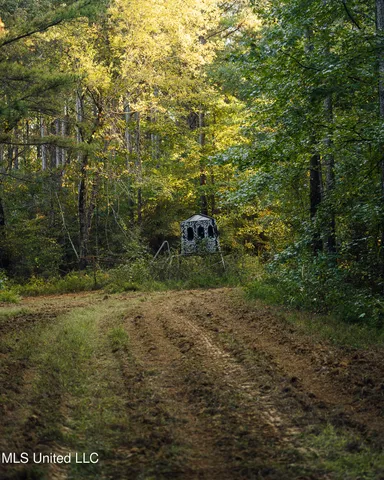 $5,841,640 | 4 Ms Holly Springs, Holly Springs, MS 38635