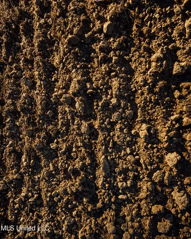 $5,841,640 | 4 Ms Holly Springs, Holly Springs, MS 38635