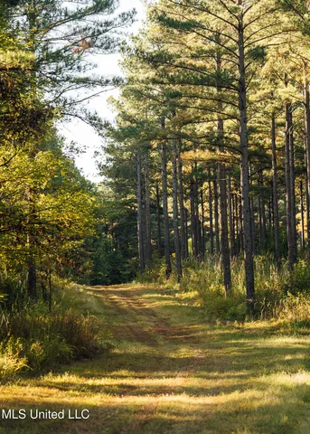 $5,841,640 | 4 Ms Holly Springs, Holly Springs, MS 38635