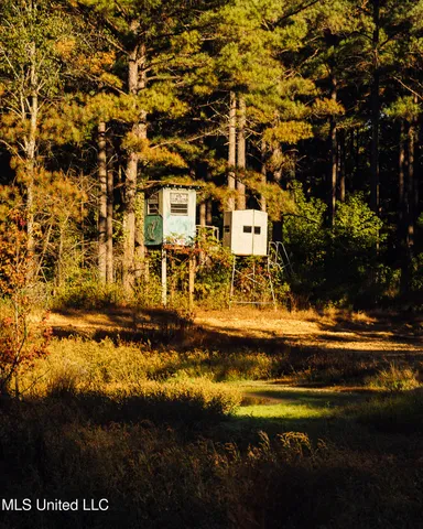 $5,841,640 | 4 Ms Holly Springs, Holly Springs, MS 38635