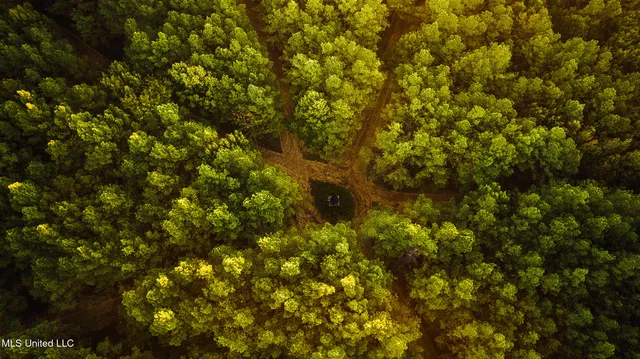 $5,841,640 | 4 Ms Holly Springs, Holly Springs, MS 38635