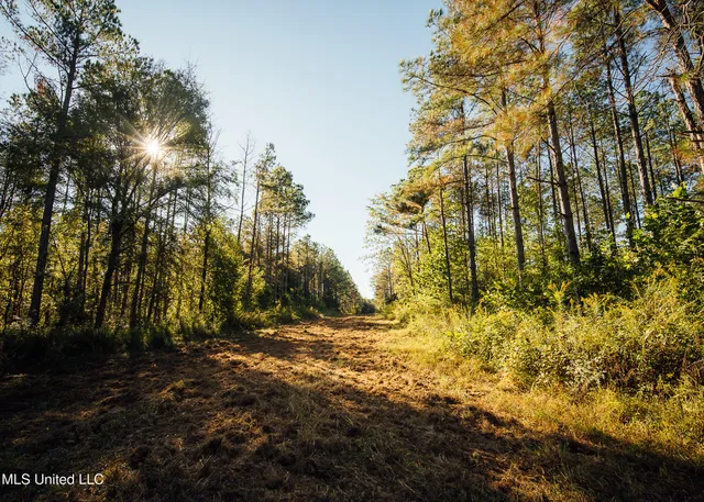 $5,841,640 | 4 Ms Holly Springs, Holly Springs, MS 38635