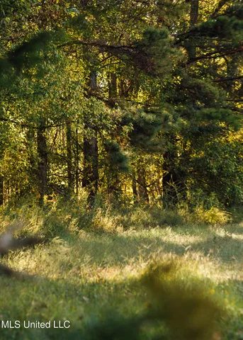 $5,841,640 | 4 Ms Holly Springs, Holly Springs, MS 38635