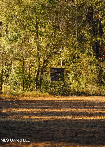 $5,841,640 | 4 Ms Holly Springs, Holly Springs, MS 38635