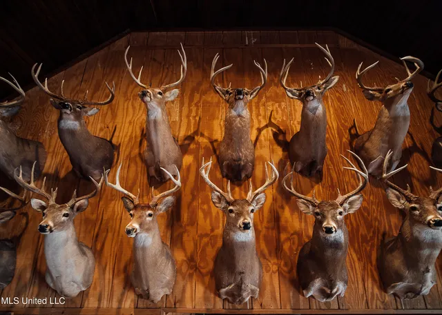 $5,841,640 | 4 Ms Holly Springs, Holly Springs, MS 38635