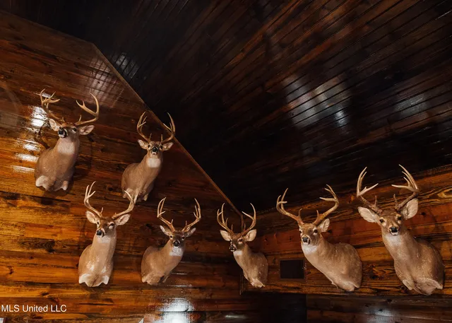 $5,841,640 | 4 Ms Holly Springs, Holly Springs, MS 38635