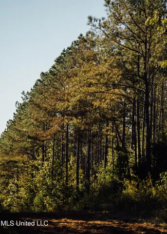 $5,841,640 | 4 Ms Holly Springs, Holly Springs, MS 38635