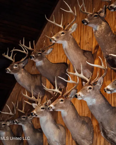 $5,841,640 | 4 Ms Holly Springs, Holly Springs, MS 38635