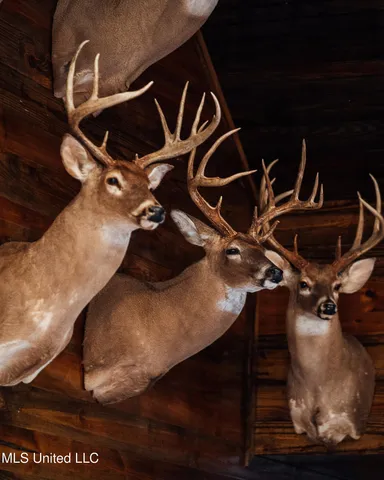 $5,841,640 | 4 Ms Holly Springs, Holly Springs, MS 38635