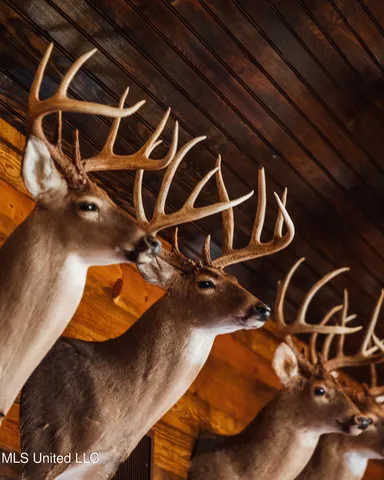 $5,841,640 | 4 Ms Holly Springs, Holly Springs, MS 38635