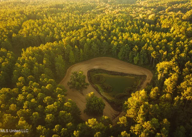 $5,841,640 | 4 Ms Holly Springs, Holly Springs, MS 38635