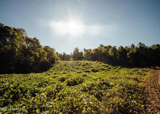 $5,841,640 | 4 Ms Holly Springs, Holly Springs, MS 38635