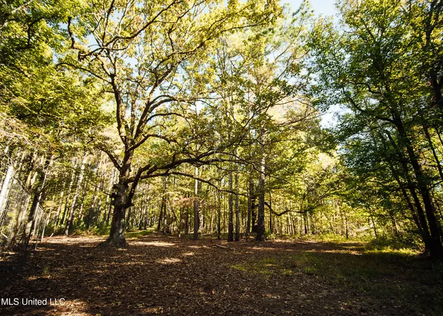 $5,841,640 | 4 Ms Holly Springs, Holly Springs, MS 38635