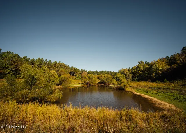 $5,841,640 | 4 Ms Holly Springs, Holly Springs, MS 38635