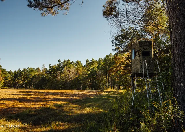 $5,841,640 | 4 Ms Holly Springs, Holly Springs, MS 38635