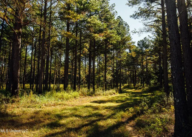 $5,841,640 | 4 Ms Holly Springs, Holly Springs, MS 38635