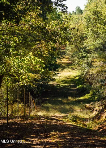 $5,841,640 | 4 Ms Holly Springs, Holly Springs, MS 38635