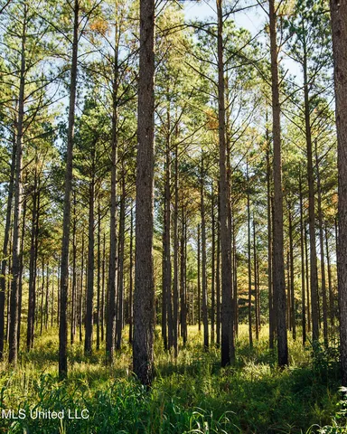 $5,841,640 | 4 Ms Holly Springs, Holly Springs, MS 38635