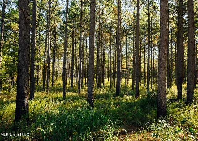 $5,841,640 | 4 Ms Holly Springs, Holly Springs, MS 38635