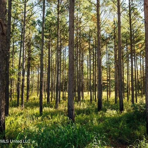 $5,841,640 | 4 Ms Holly Springs, Holly Springs, MS 38635