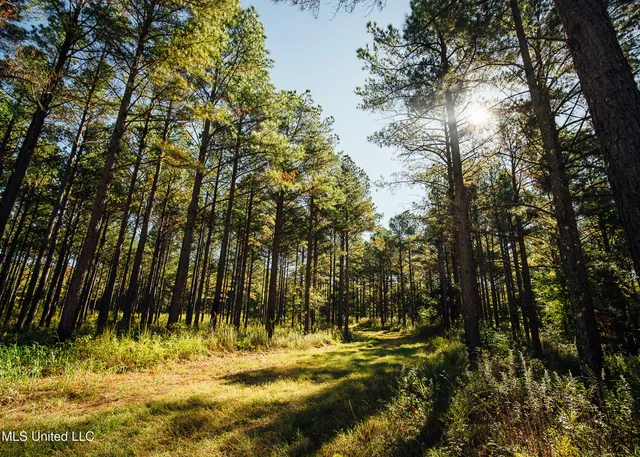 $5,841,640 | 4 Ms Holly Springs, Holly Springs, MS 38635