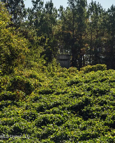 $5,841,640 | 4 Ms Holly Springs, Holly Springs, MS 38635