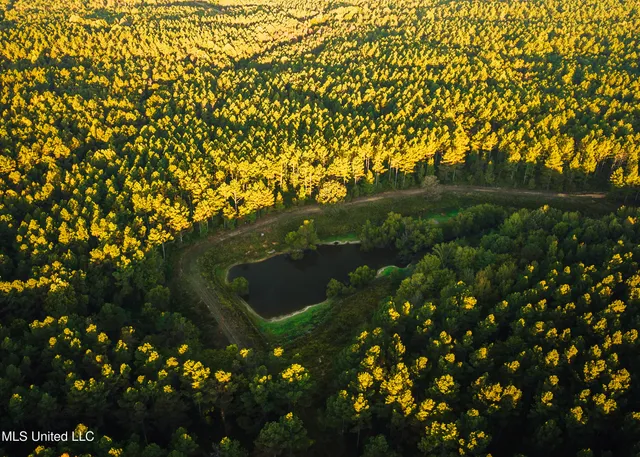 $5,841,640 | 4 Ms Holly Springs, Holly Springs, MS 38635