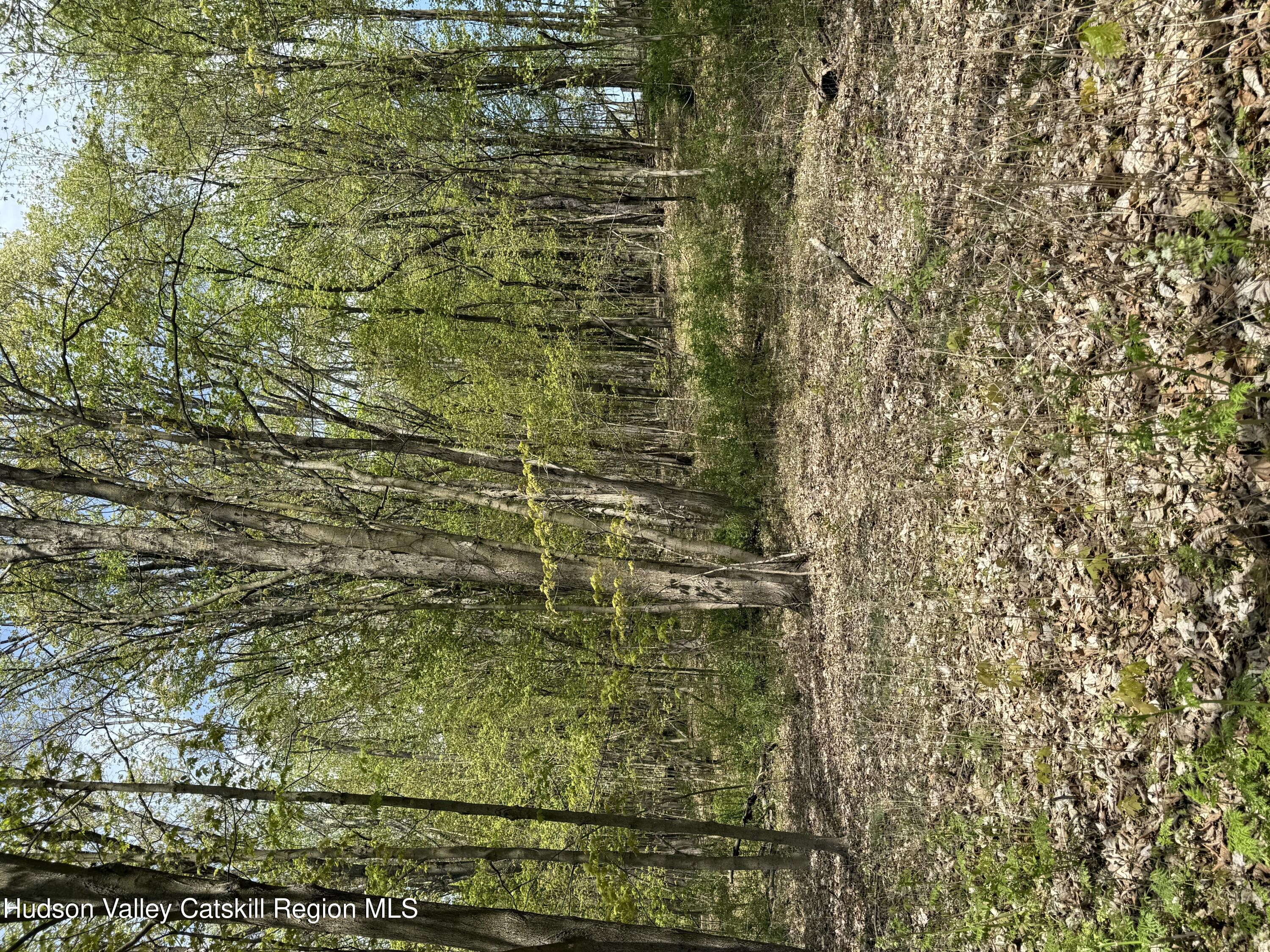 120 Floyd Ackert Road West Park, NY 12493 - Photo 1 of 6 land