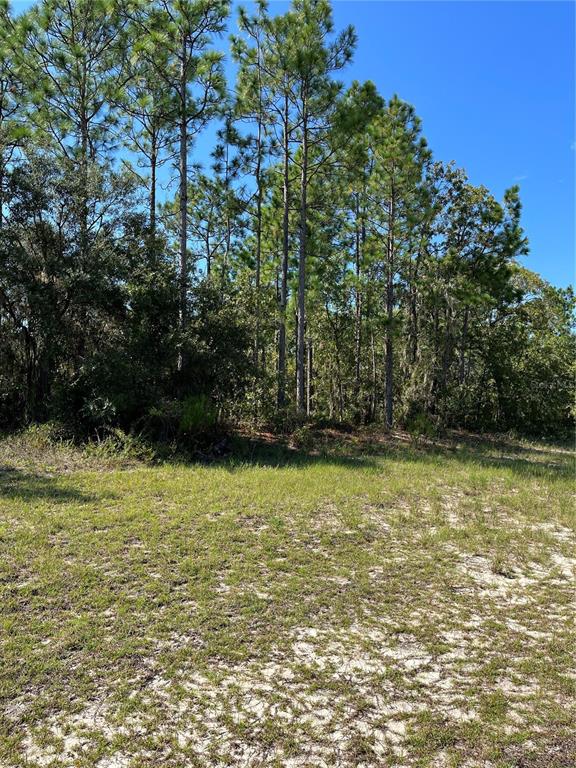 89 Southwest Sw Circle Ocala, FL 34472 - Photo 1 of 1