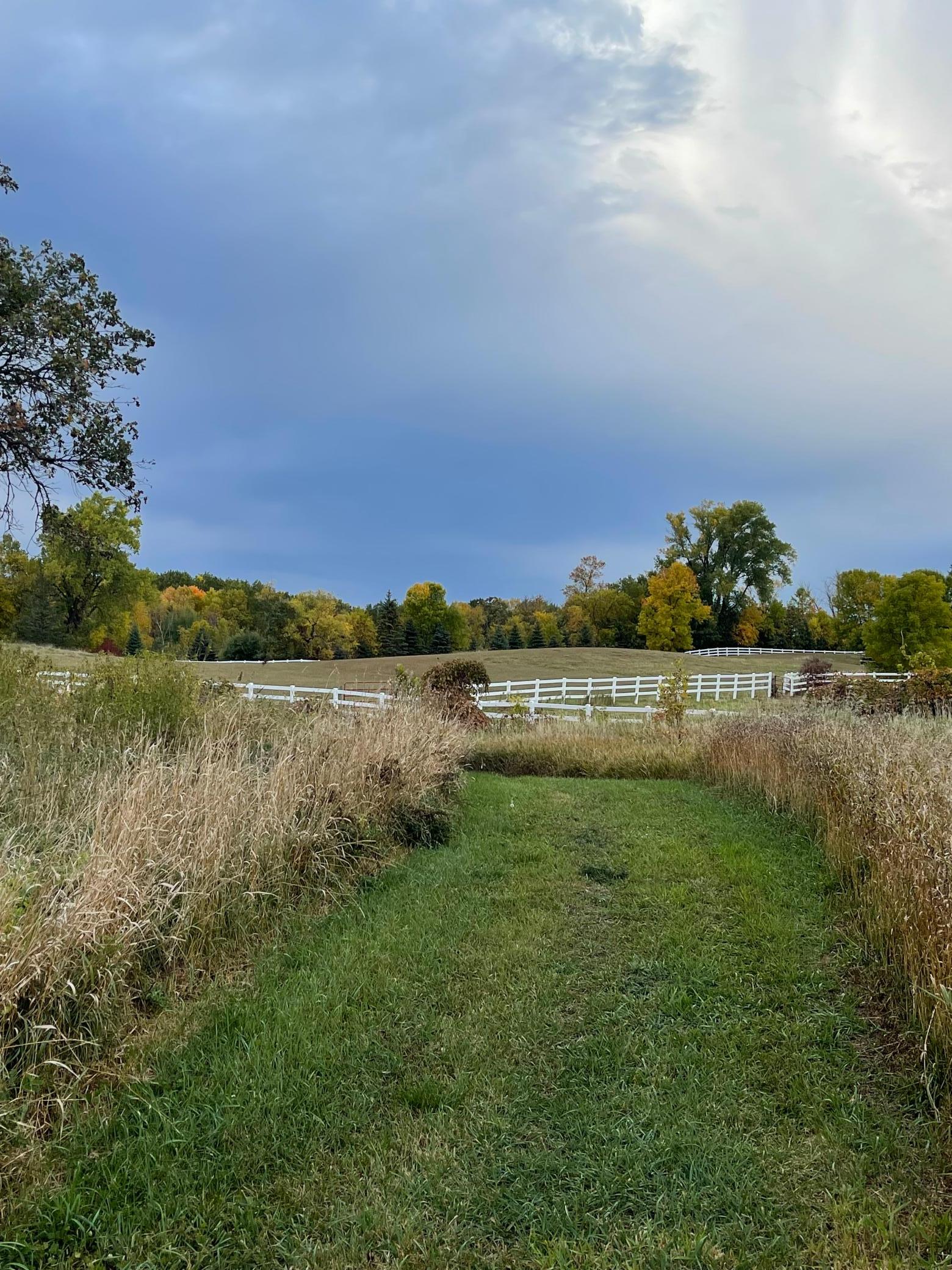 4280 Buck Lake Road Watertown, MN 55388 - Photo 60 of 96 Gallery Image 60