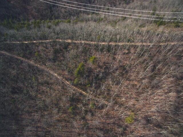 0 Macks Mountain Road Northwest Indian Valley, VA 24105 - Photo 11 of 17 74205_14