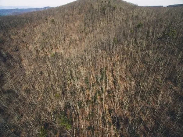 $1,750,000 | 0 Macks Mountain Road Northwest, Indian Valley, VA 24105