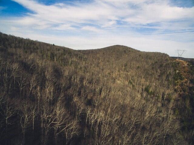 0 Macks Mountain Road Northwest Indian Valley, VA 24105 - Photo 10 of 17 74205_12