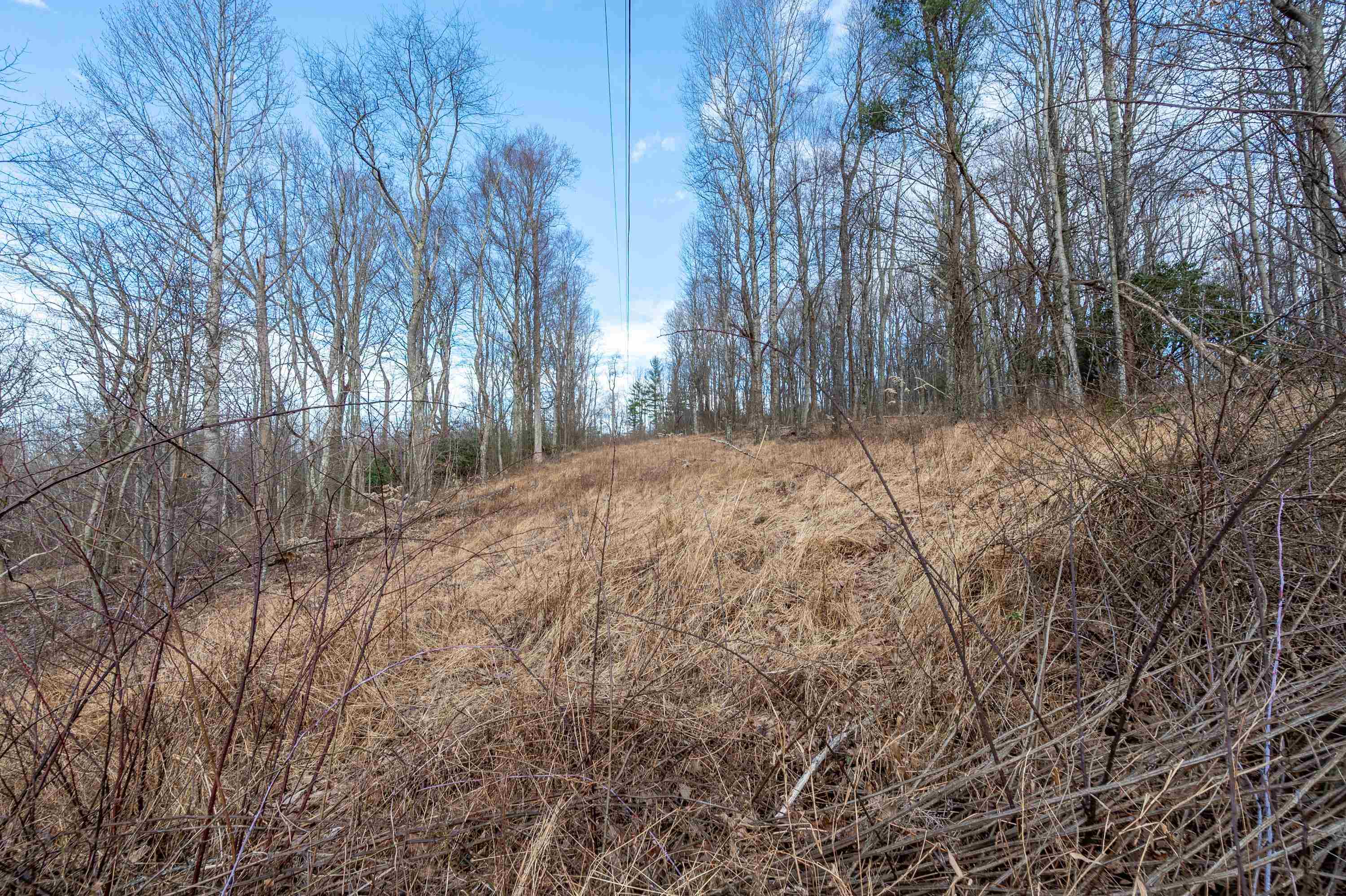608 Blue Ridge Pkwy Road Fancy Gap, VA 24328 - Photo 37 of 49 Gallery Image 37