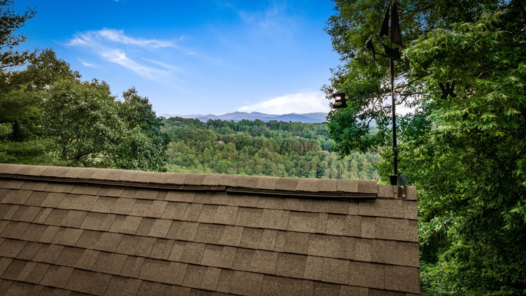 1289 My Mountain Road Morganton, GA 30560 - Photo 47 of 68