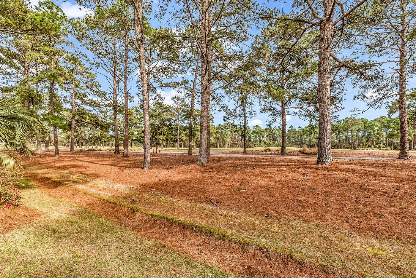 606 Trawler Bay Court Conway, SC 29526 - Photo 60 of 72