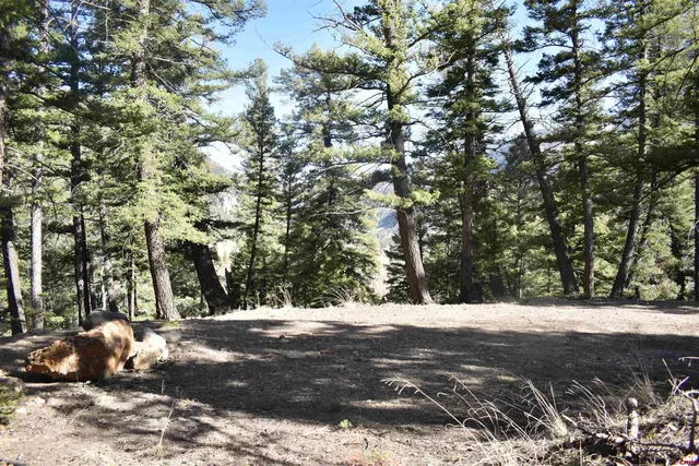 a view of outdoor space with lots of trees
