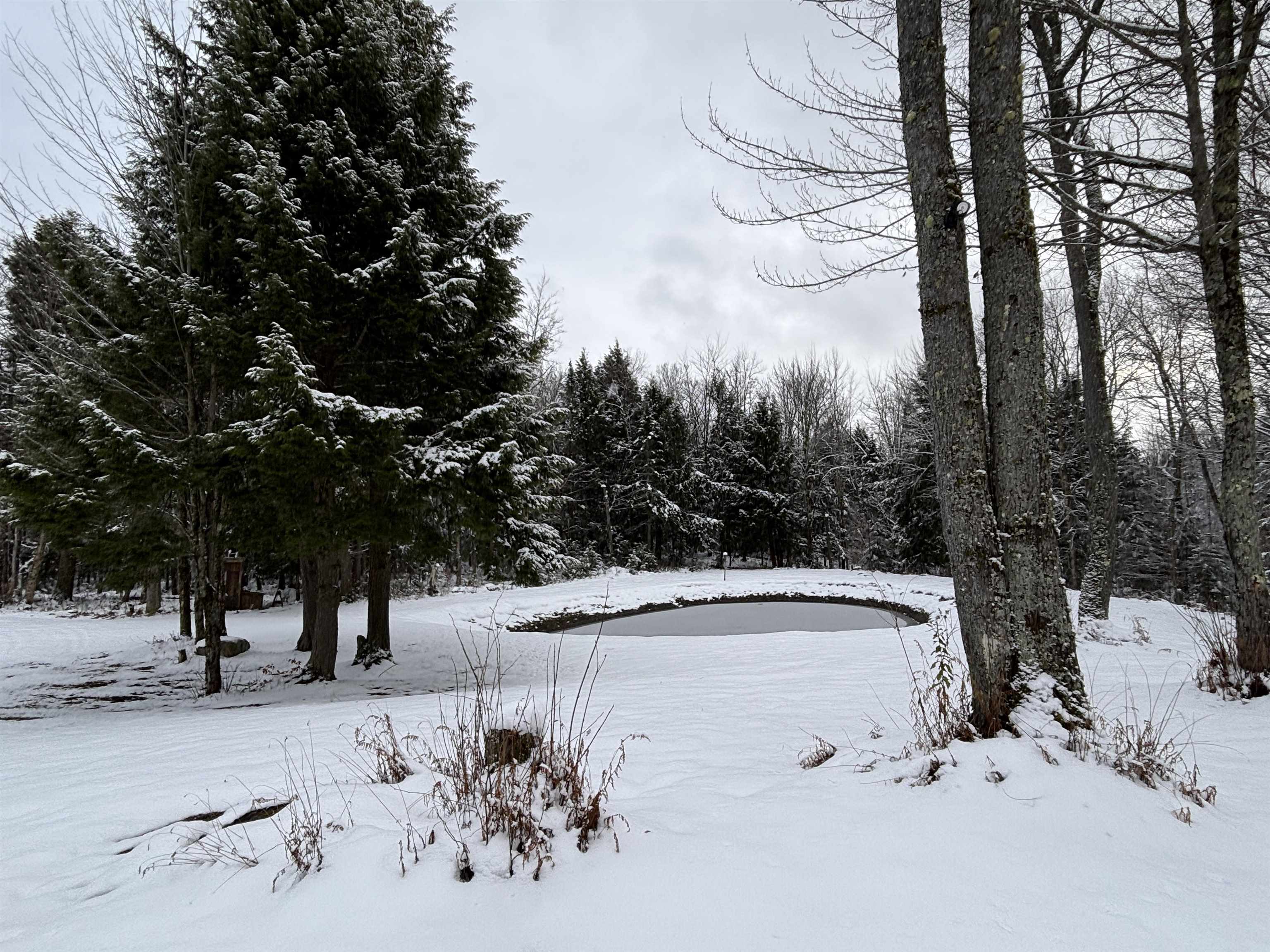 821 Paquette Road Craftsbury, VT 05680 - Photo 4 of 4