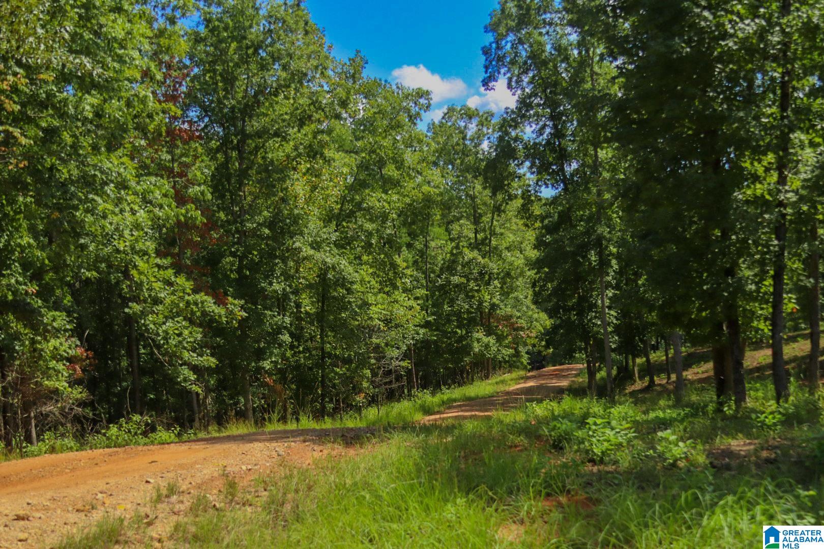 0 Burger Curb Road Marion, AL 36756 - Photo 44 of 59