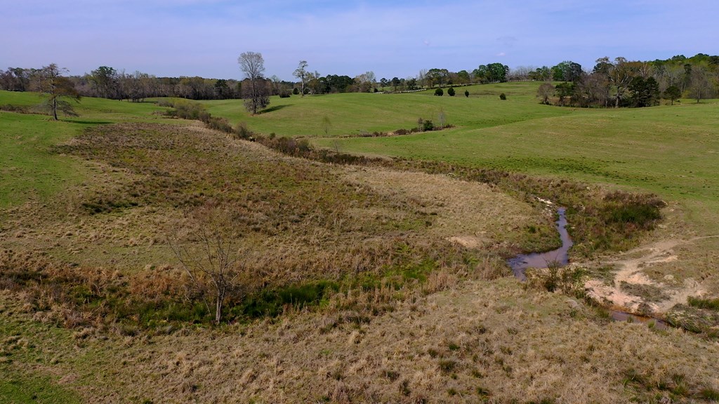 369 Bud Gary Road Clayton, AL 36016 - Photo 23 of 42