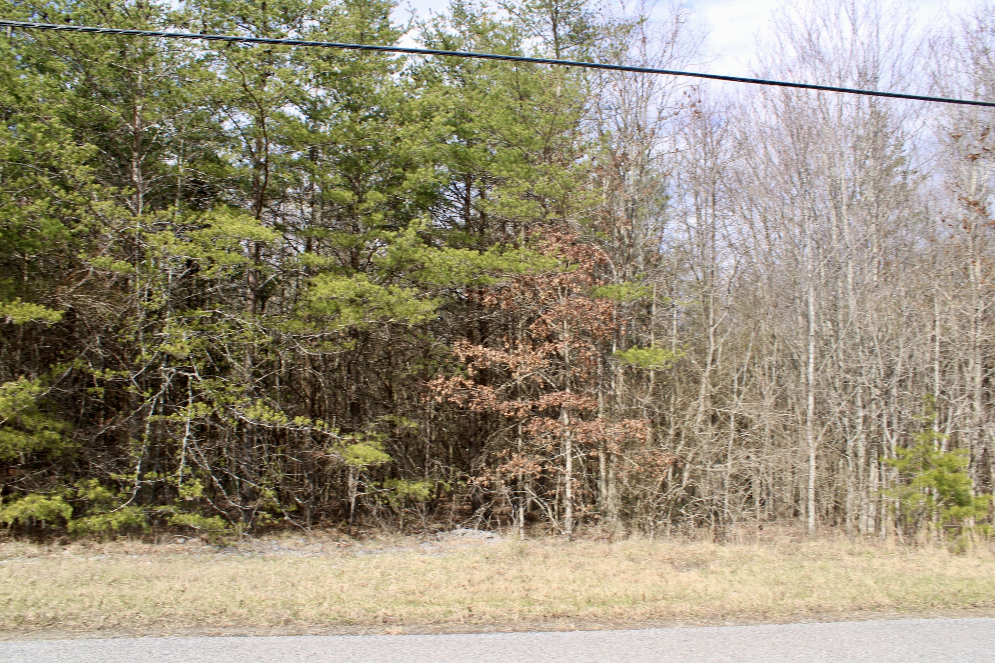 0 Denny Bend Road Spencer, TN 38585 - Photo 11 of 12