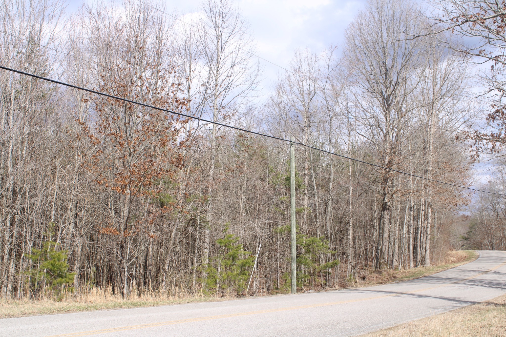 0 Denny Bend Road Spencer, TN 38585 - Photo 4 of 12