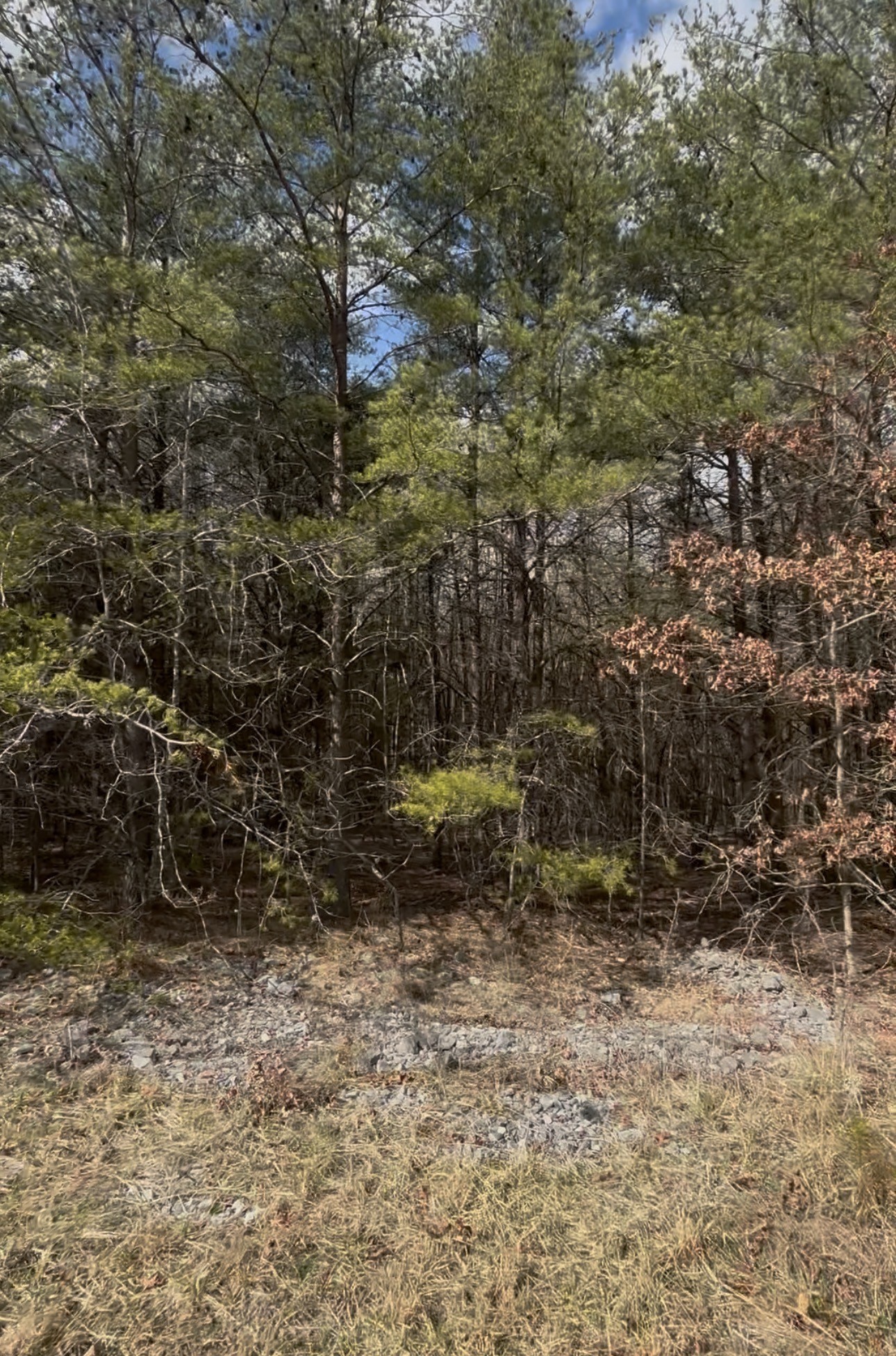 0 Denny Bend Road Spencer, TN 38585 - Photo 5 of 12